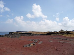 P1020276