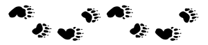 divider