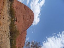 P1140524