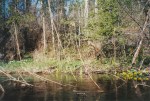 IMG_0006