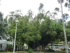 P1140735
