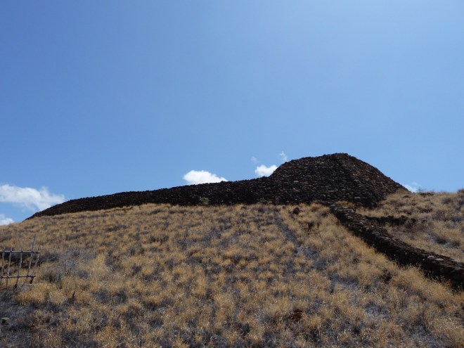 P1010239