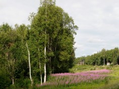 P1150838