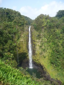 P1010818